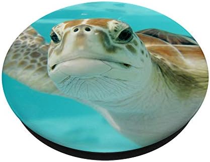 Pop out Cep Telefonları tutucu sualtı Okyanus Deniz Kaplumbağaları PopSockets Değiştirilebilir PopGrip