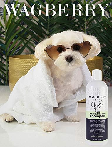 Wagberry Spa Şampuanı Hakkında Her Şey – Köpek Şampuanı Ve Saç Kremi, Tüm Evcil Hayvanlar için Yıkama Kuru Kaşıntılı Cildi