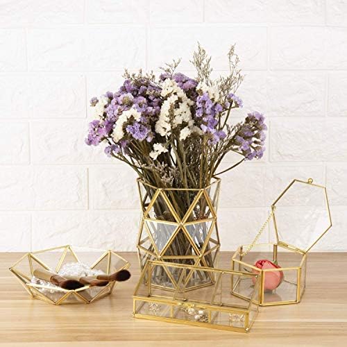 Feyarl Altın Şeffaf Cam Takı Biblo Kutusu Süslü Yüzük Küpe Kutusu Korunmuş Çiçek Cam Kutu Dekoratif kapaklı kutu Dresser için
