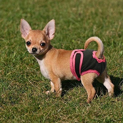 Gıgıcloud Köpek Bezi Sıhhi Pantie, rahat Iç Çamaşırı Kadın Kız Köpekler ıçin Nefes Kadın Fizyolojik Pantsfor Küçük Meidium