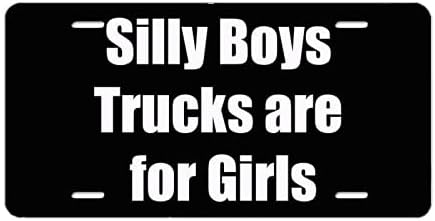 Aptal Erkek Kamyonlar Kızlar için Komik Yenilik Ön Plaka Arabalar için ABD Oto Metal Araba Etiketleri Aksesuarları Standart