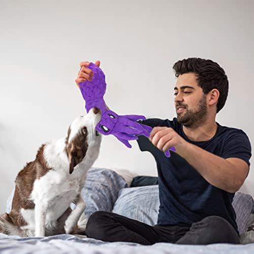 EXPAWLORER Köpek Gıcırtılı oyuncak seti-2 Paket Gıcırtılı Peluş Interaktif Çiğnemek Oyuncaklar Köpekler için Eğitim ve Can