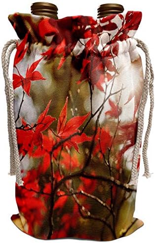 3dRose Danita Delimont-Yapraklar - Japon Akçaağacı, Sonbahar, Gloucestershire, İngiltere-Şarap Torbası (wbg_227985_1)