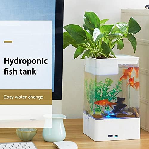 YFQHDD Kendi Kendini Temizleyen Balık Tankı Tembel Küçük Akrilik Akvaryum Balığı Tankı Masaüstü Şeffaf Kova Balık Tankı Ekolojik