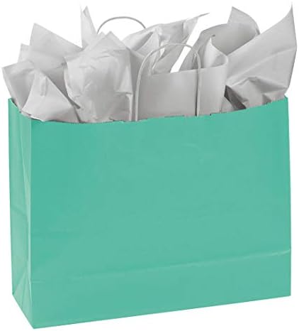 Kağıt Alışveriş Çantaları 25 Turkuaz Mavisi Perakende Ürünler 16” x 6”x 12½
