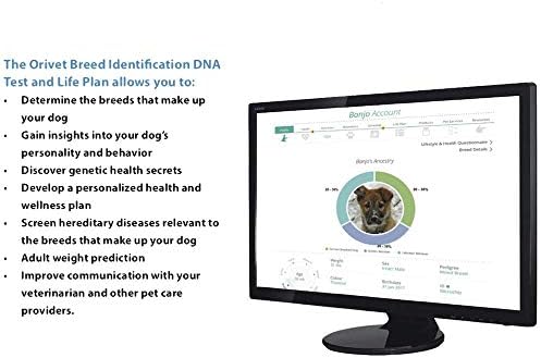 2 Paket Orivet Köpek DNA Testi / Köpek Irkı Test Kiti, Genetik Test, Kalıtsal Sağlık Riskleri ve Yaşam Planı