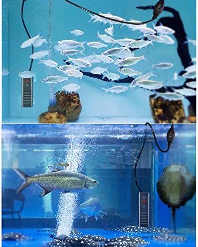 RXBFD Akvaryum Termostat ısıtıcı, Ayarlanabilir Termostatlı Düz Dalgıç balık tankı ısıtıcı, Akıllı LED Sıcaklık Göstergesi